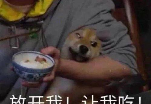 娱乐圈吃瓜科普,那些你不知道的幕后故事与真相