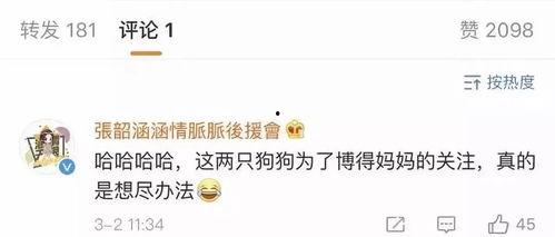 吃瓜娱乐常用bgm,跟随热门bgm,解锁吃瓜娱乐新境界