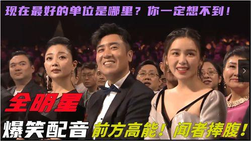 娱乐吃瓜视频用哪样配音,揭秘热门视频背后的配音秘密